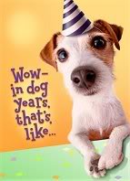 1000 dagen De weblog van Helmond