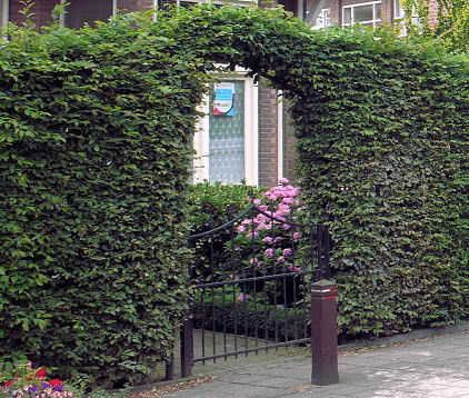 Helmond
