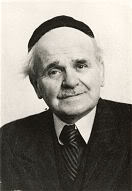 Sjef van Wel, Helmond