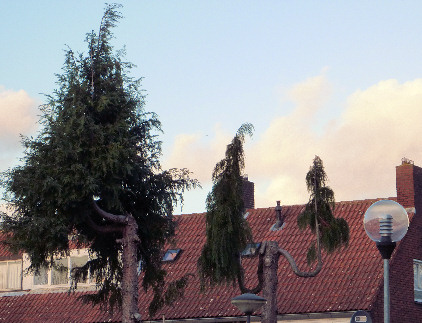Helmond