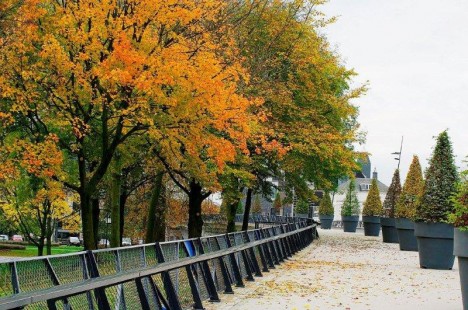 Bloempotten Traverse