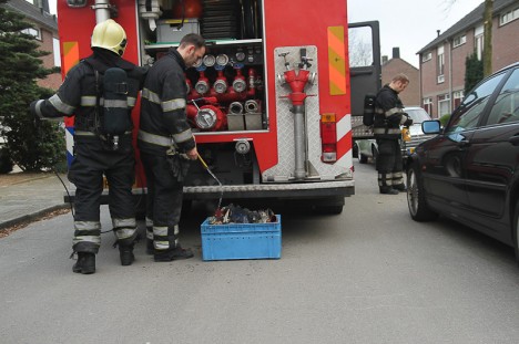 brand Karekietstraat 23