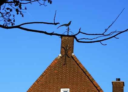 Helmond
