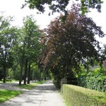 eiken Aarle-Rixtelseweg