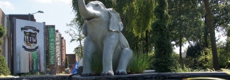 de olifant in betere tijden