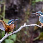 we waren ter plekke in 2015