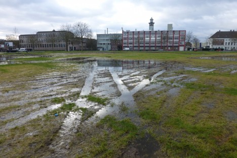 Foto door Irma op 10 februari 2016