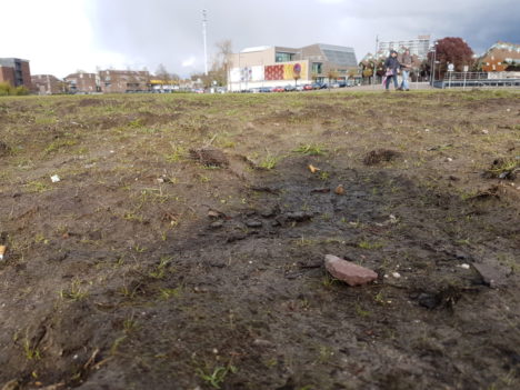 Foto door Irma op 27 april 2016 (Koningsdag) 