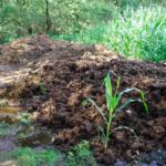 foto Eric de Redelijkheid