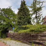 Eikendreef op 6 juli