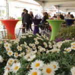 Cofoto, Mario Coolen