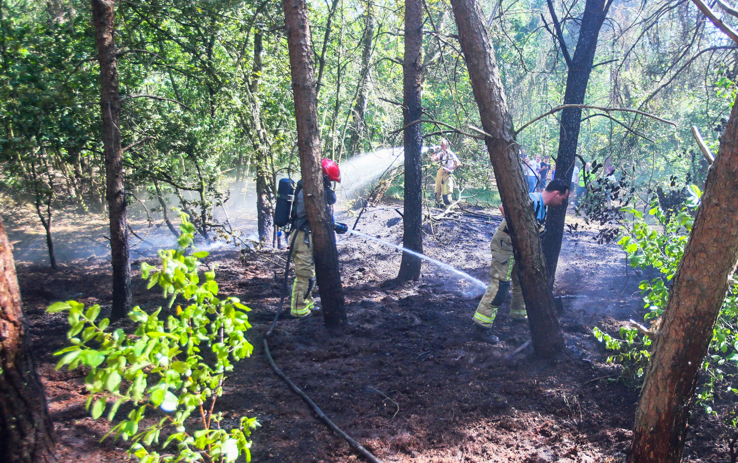 Brand in de Bakelse Bossen