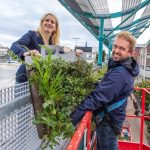 Dave-van-Hout-Fotografie