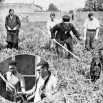 Telegraaf 27 augustus 1936