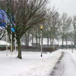 Foto: Wim van den Broek